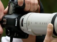 About Surveillance Investigators